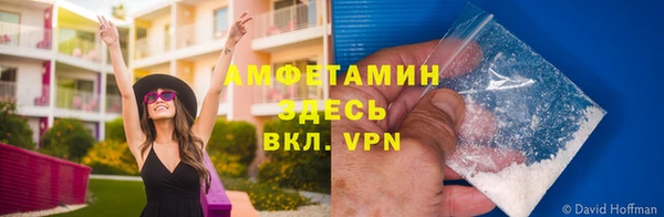 стафф Балахна