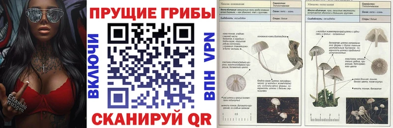 KRAKEN как зайти  Константиновск  Галлюциногенные грибы Magic Shrooms  как найти закладки 